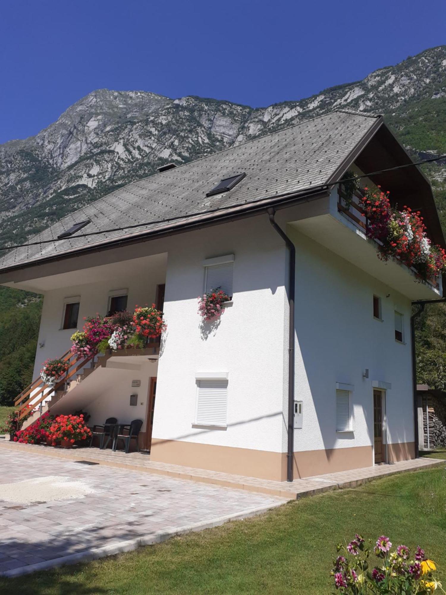 Apartma Pod Rozem Soca Bagian luar foto