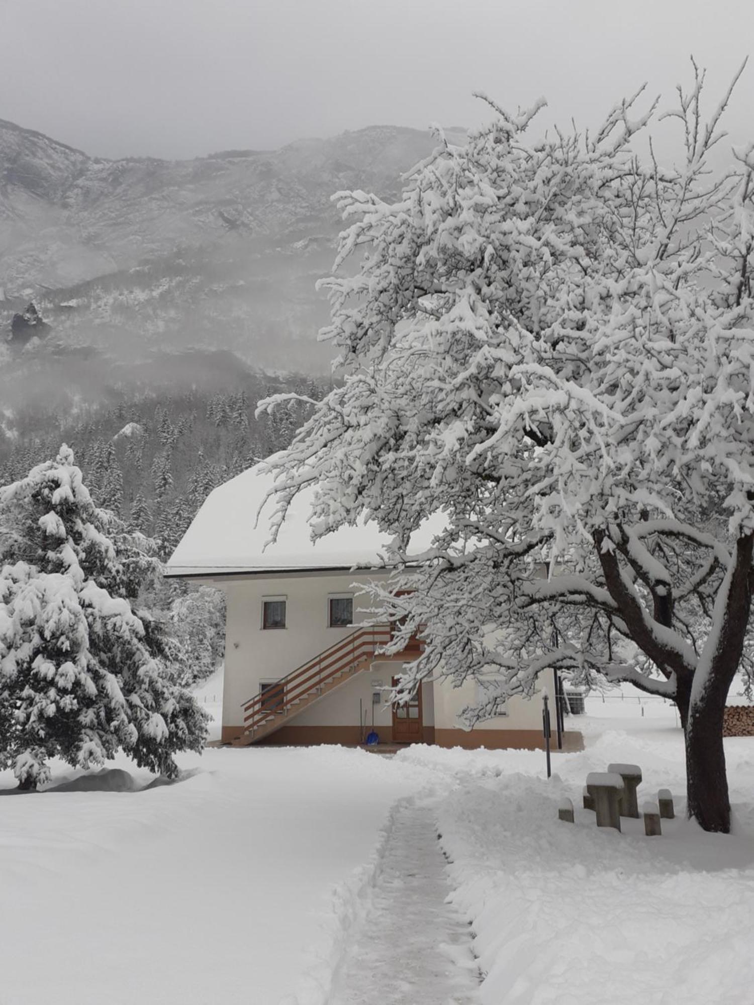 Apartma Pod Rozem Soca Bagian luar foto