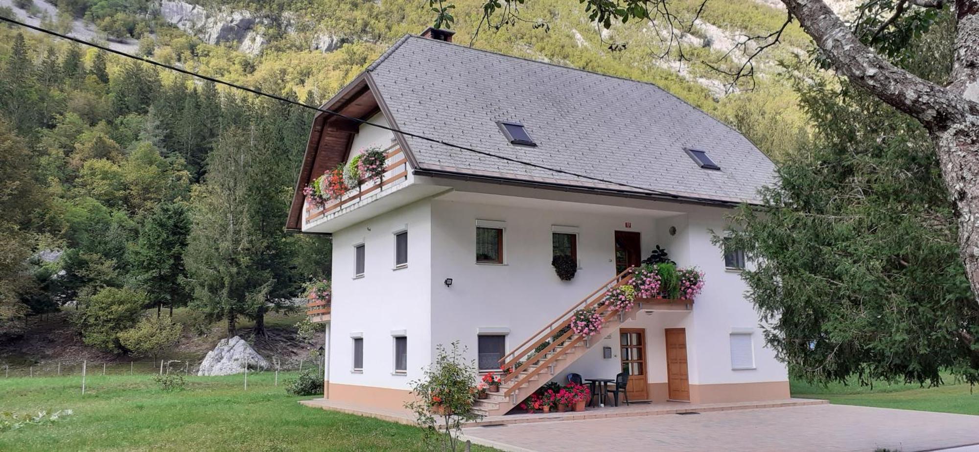 Apartma Pod Rozem Soca Bagian luar foto