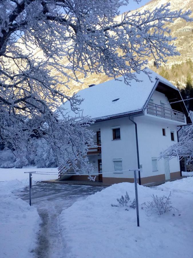 Apartma Pod Rozem Soca Bagian luar foto