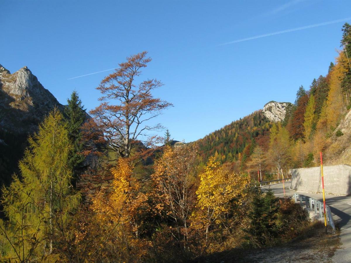 Apartma Pod Rozem Soca Bagian luar foto
