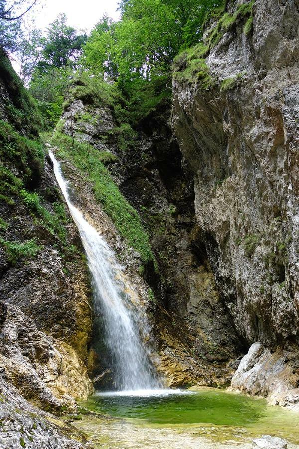Apartma Pod Rozem Soca Bagian luar foto